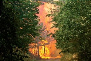 OPOZORILO o kurjenju v naravi! 17.3.2017